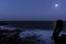 Silhouette of a wild pelican with moon over the ocean - Los Cocoteros, Lanzarote