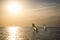 Silhouette of a wind-surfer on waves sunset