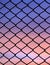 Silhouette wire mesh in twilight