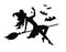 Silhouette of a witch on a broom holding a spider on a web in her hand with bats in background.