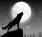 Silhouette of a wolf standing on a hill at night with moon