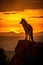 Silhouette of a wolf standing on a hillside at sunset. Amazing Wildlife