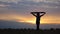 Silhouette of woman goes with raised flag of Ukraine above head on wheat field. Ukrainian lady walking with national