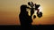 Silhouette woman holding sugar beets at sunset