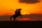 Silhouette of a woman on horseback against the sunset with a long spear preparing to attack