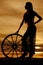 Silhouette woman lace skirt wagon wheel side
