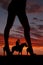 Silhouette woman legs face side cowboy horse