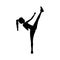 Silhouette woman martial arts high kick