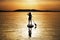 Silhouette of woman paddling at sunset on a stand up paddleboard SUP in Croatia, Adriatic Sea, near Sibenik. Tourism concept