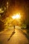 Silhouette of woman in retro skirt standing lonely under trees during beautiful sunset. Silhouette of free woman enjoying freedom