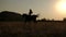 Silhouette of a woman riding a horse in the field.