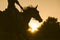 Silhouette of a woman riding a horse - sunset or sunrise, horizontal