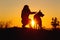 Silhouette woman walking with a dog in the field at sunset, girl stroking pet sitting nearby on natur, bright sunlight between two