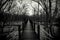 Silhouette of wood bridge with white rope fence in forest. Branches of trees in the cold forest with gray sky background in black