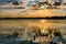 Silhouette of wooden pier residues in a lake during sunset