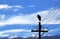 Silhouette of Wooly Neck Stork on Electricity Pole