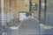 Silhouette of working late businessman man seen through windows
