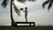 silhouette yoga meditation at beach