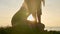 Silhouette yoga practice at sunset. Yong woman doing yoga exercise on the beach