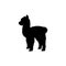 Silhouette of young alpaca lama cub. Cute young animal.