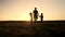 Silhouette of young family - mom and two brothers twins boys runs to the sun on open air field or park, golden hour