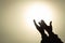 Silhouette of young human hands open palm up worship and praying to god at sunrise, Christian Religion concept background