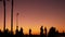 Silhouette of young jumping skateboarder riding longboard, summer sunset background. Venice Ocean Beach skatepark, Los