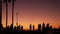 Silhouette of young jumping skateboarder riding longboard, summer sunset background. Venice Ocean Beach skatepark, Los