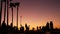 Silhouette of young jumping skateboarder riding longboard, summer sunset background. Venice Ocean Beach skatepark, Los Angeles