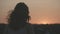 Silhouette of young lonely female watching sunset, sunrise. Beautiful pink sky