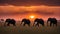 Silhouetted against the vibrant hues of an African sunset, a group of elephants traverse the open plains