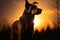 Silhouetted beauty, a mysterious canine form in the gentle light
