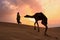 Silhouetted bedouin walking with his camel at sunset, Thar desert near Jaisalmer, India