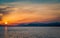 Silhouetted bird flies towards the dramatic sunset from the coastal town of Trogir, Croatia