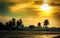 Silhouetted coconut palm trees on the beach at sunset time