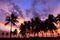 Silhouetted of coconut tree colorful sunset