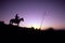 Silhouetted Cowboy