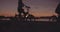 Silhouetted cyclists riding along the seaside promenade at sunset