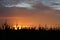 Silhouetted field at sunset