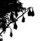 Silhouetted fruit bat on tree