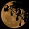 Silhouetted fruit bat on tree with the moon background