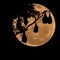 Silhouetted fruit bat on tree with the moon background