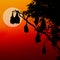 Silhouetted fruit bat on tree at sunset