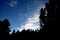 Silhouetted fynbos vegetation against a blue Karoo sky