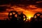 Silhouetted gear wheels interconnected in front of a fiery, glowing sunset, symbolizing the power of industry