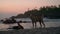 Silhouetted lighthouse stands on hill, dusk sky behind. Waves crash rocky shore, dogs in front explore sandy beach