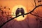 Silhouetted lovebirds on a branch, a symbol of romance and tenderness