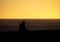 Silhouetted Man Looks Down at Dusk