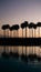 Silhouetted palm trees create a serene vista against the lakeside