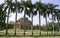 Silhouetted palm trees, lodhi gardens